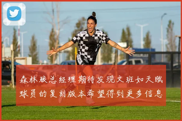 森林狼总经理期待发现文班如天赋球员的复刻版本希望得到更多信息